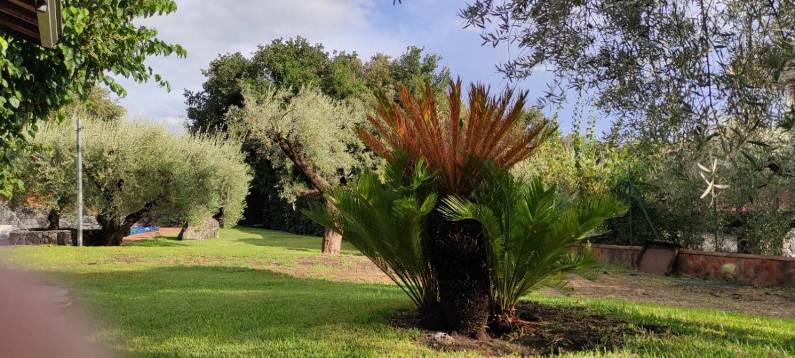 Villa Hephaestus Etna - With Private Pool Ragalna المظهر الخارجي الصورة