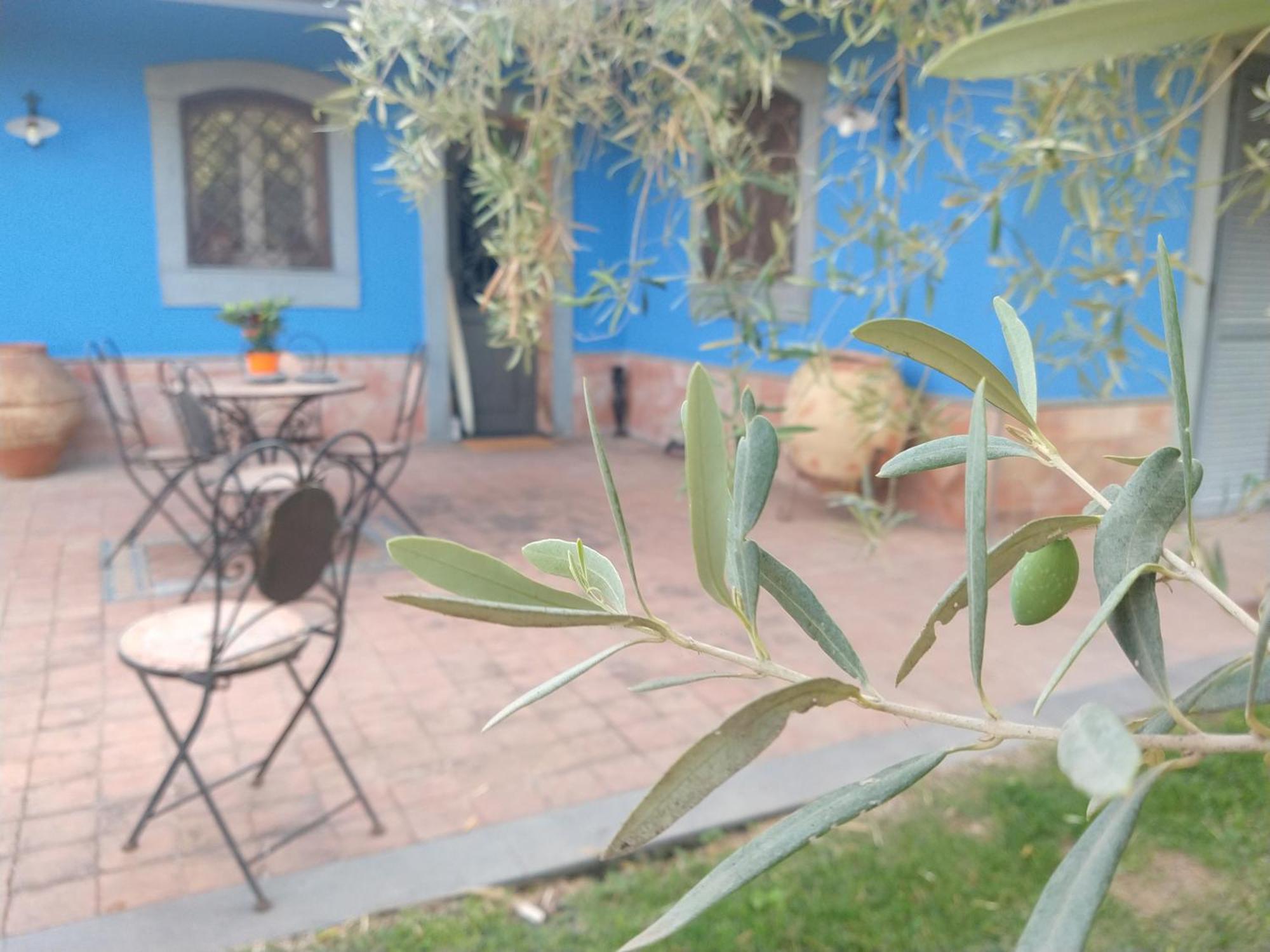 Villa Hephaestus Etna - With Private Pool Ragalna المظهر الخارجي الصورة